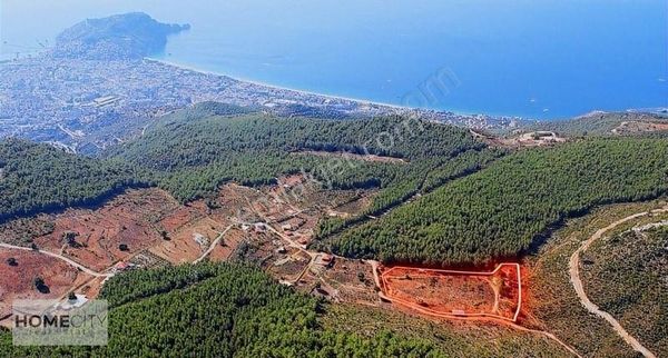 Alanya 16.521m2 Tiny House Projeli,merkeze 3 Km,kaleye 3 Km.!!!!