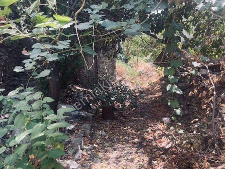 802- Beyler Köyünde Bahçesinde Kuyu Olan Köy Evi