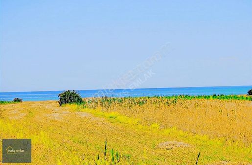 Van Gölüne Sıfır 14 Dönüm Tarla