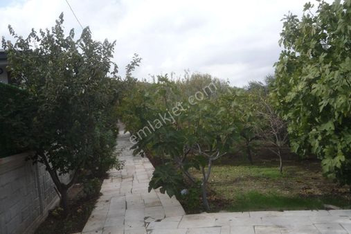 İzmir Torbalı Gold Emlaktan Satılık Harika Bahçeli Ev