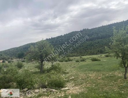 Çamlıyayla Satılık Arsa Tek Tapu