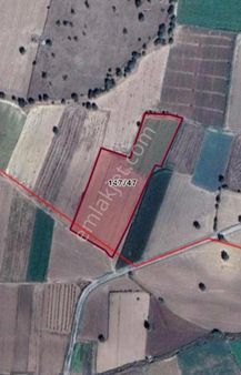 Çanakkale Merkez Tevfikiye Köyünde Acill Satılık 14700 M2 Arazi