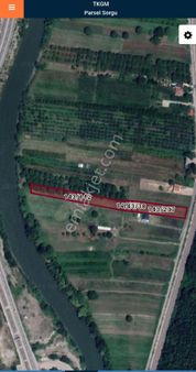 Geyve Doğançay'da Yatırımlık 5365 M² Tarla