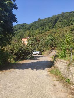 Tireboluda Satılık Fındık Bahçesi