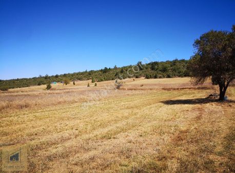 Söğüt E 5dk Asfalt Yanı Baraja Çok Yakın