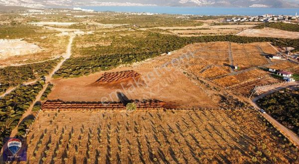 Remax Cool 2 İle Muhteşem Konumlu Full Deniz Manzaralı Tarla