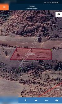 Geleceğe Yatırım Burada Başlar – Çardak Hayriye’de 4309 M² Tarla