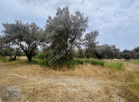 Avcı'dan Güre Çamlıbel %25 İmar Denize Cok Yakin 2 Villalık