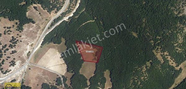 Kırklareli Merkez Armağan Köyünde Orman İçi Arazi Tek Tapu