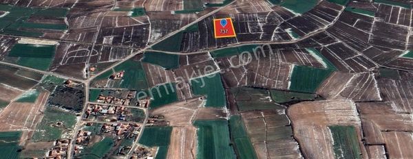 Kırklareli / Merkez Paşayerinden Satılık Fırsat 10.000 M2 Tarla...