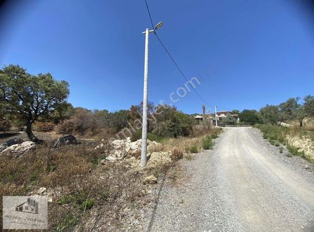 Artenew'den 980m2 Köşe Parsel Yolu Olan Parselsatılık