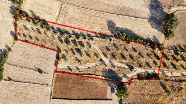 Milas Alaçamda Satılık Çiftlik Arsası