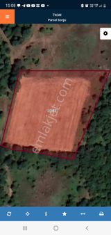 İnegöl Babaoğlu Köyünde 4260 M2