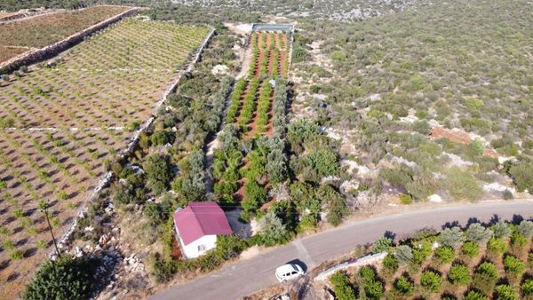 Ayaş Kızılbağ'da Asfalt Yola Sıfır Satılık Tarla