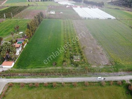 Muğla Dalyanda Göle Yakın Satılık 4100m2 Tarla