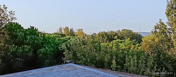 Çanakkale/çardak Satilik Daire