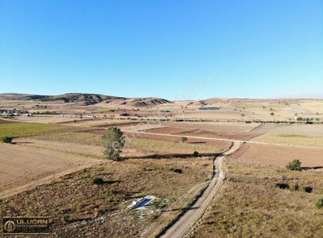 Ulucan Emlaktan Bozüyük Osb Yakınında Satılık Tarla