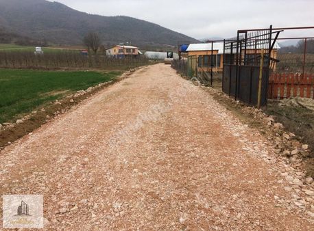 Yenişehir Burcun Köyü 4465 M2 Arsa Ve Bungalov Ev