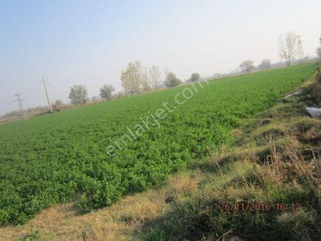İzmir Torbalı Gold Emlaktan Satılık Tarla
