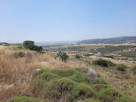 Foçaköy'de 3 Villalık Arsa