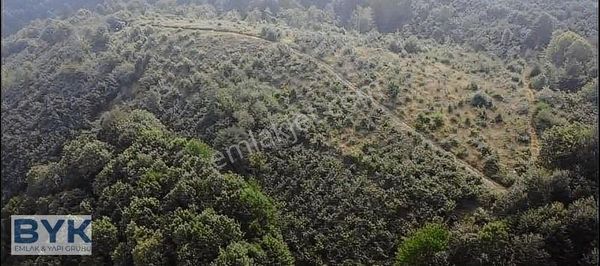 Byk' Dan Güldere' De Satılık 20 Dönüm Fındık Bahçesi!