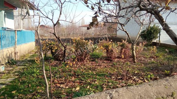 Amasya Taşova Esencay Da Satılık 754 M2 Arsa Ev Yeri