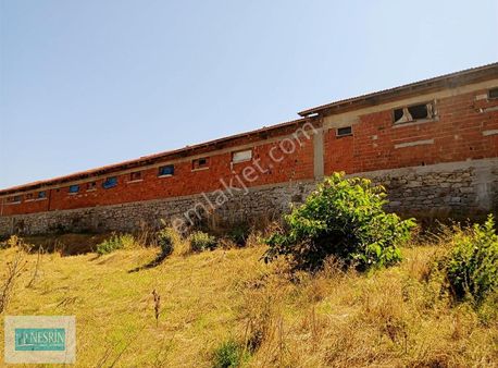 Küçükbaş, Büyükbaş Kanatlı Üretimi Ve Her Tür İmalat İçin Uygun