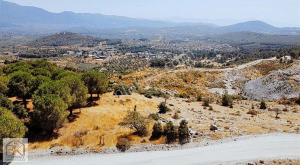 İzmir Selçuk Acarlar Mevkinde Satılık 10.114 M2 Bahçe