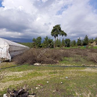 Antalya Kaş Satılık Tarla Dirgenler