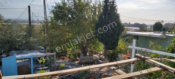 Aydın Söke Mimarsan Emlaktan Güllübahçe Beldesinde Satılık Müstakil Avlulu Taş Ev