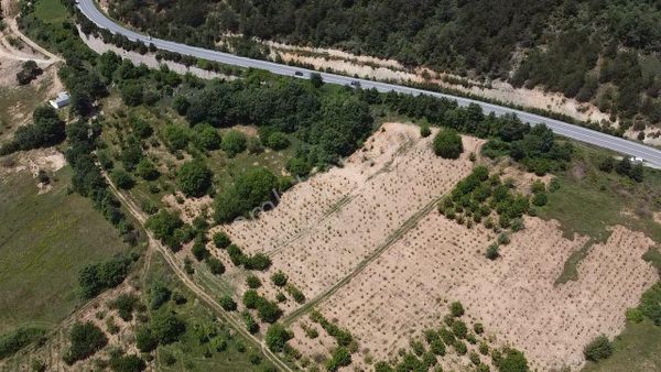 Asfalt Üzeri 5.500m2 Arsa