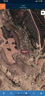 Yenişehir'de Acil Satılık Tarla