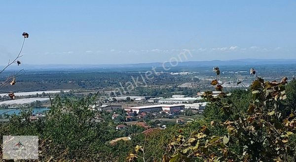 İmar Çalışması İçinde Satılık Fındık Bahçesi