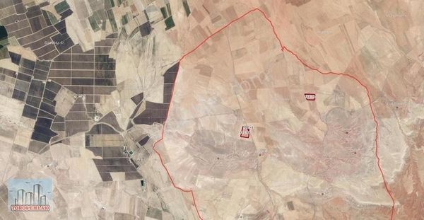 Toros Emlak'tan Ulukışla Altay Köyü Satılık 50 Dönüm Tarla