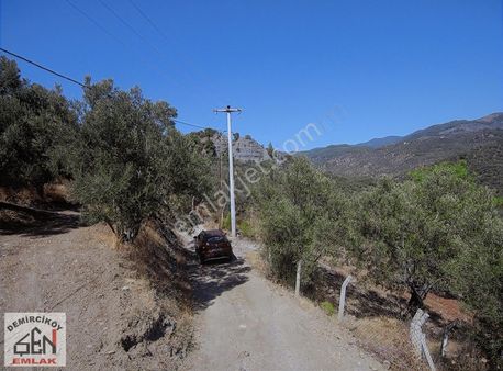 Narlı Sahilinde Sitelere Yakın Deniz Manzaralı Zeytinlik