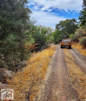Şen Emlak'tan Ahmetçe Köyünde Satılık Bahçe