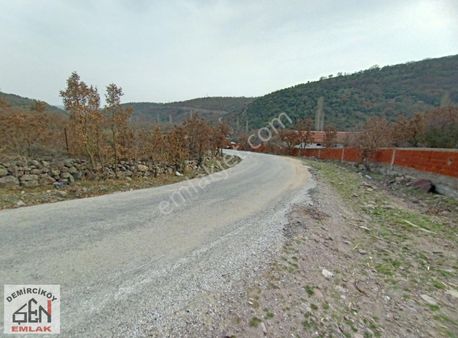 Asfalt Yola Cepheli Tarla