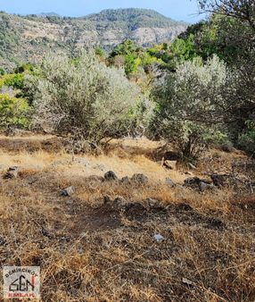 Şen Emlak' Tan Ahmetçe Köyünde Satılık Tarla
