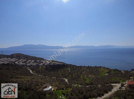 Sitelere Komşu Deniz Manzaralı Zeytinlik