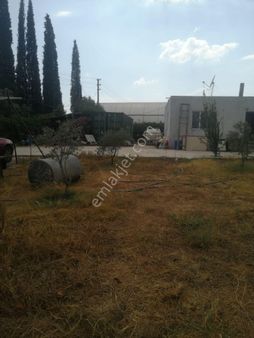 Menderes Turyap'tan Dereköy'de 3002 M² Tek Tapu Satılık Tarla