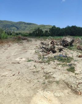 Muğla Ula Elmalı Köyünde Satılık 4000m Tarla