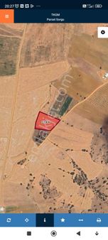 Acil Satılık Susuz Tarla