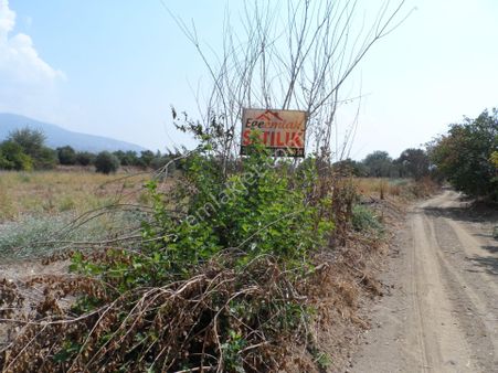 Nazilli Ege Emlak Ofisinden Güzelköy Mah. Satılık Bahçe
