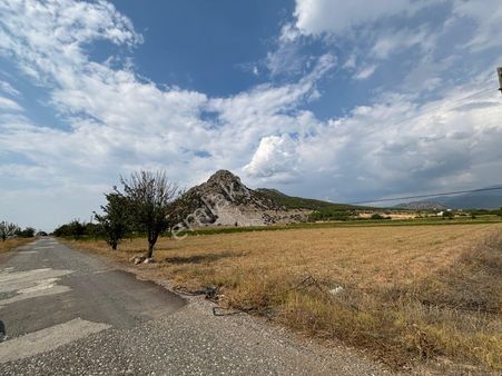 Satılık Yola Sıfır Tarla 4880 M2