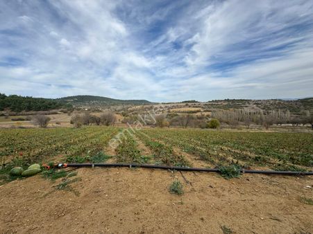 Era Söz Den Balıkesir Bigadiç Babaköy De Satılık Tarla