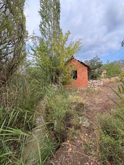 Satılık 3.760 M2 Tarla Doğa İle İç İçe Yetişmiş Ağaçlar Mevcut