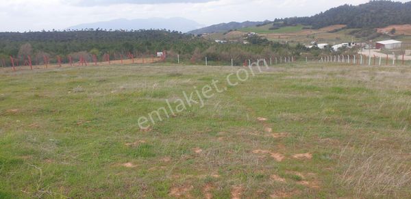 Ayvacık Da Satılık