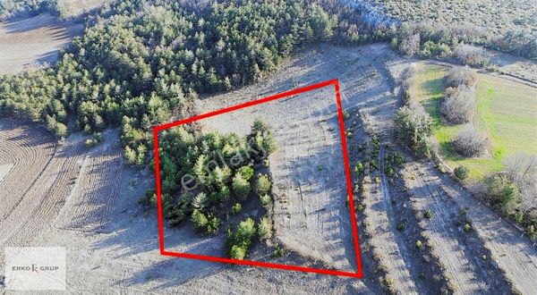 12 Dönüm Ceviz Bahçesi- Gölpazarına Sadece 2 Km Fiyat Düştü