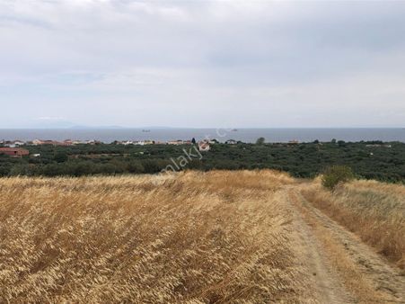 Şarköy De Işık Emlaktan Eriklice Mah De 267 M2 0/25 İmarlı Arsa