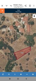 Köy Yerleşim Mahallinde Tarla